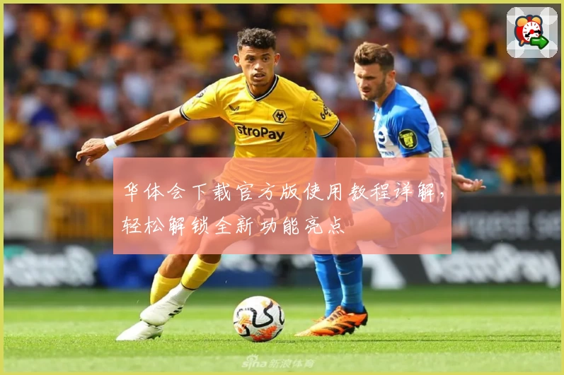 华体会下载官方版使用教程详解，轻松解锁全新功能亮点